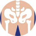 Hips — joint area Hondrexil is aimed at