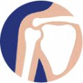 Shoulders — joint area Hondrexil is aimed at